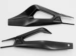 Carbonin - Carbonin Carbon Fiber Swingarm Protectors 2020 K67 BMW S1000RR