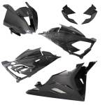Alpha Racing Performance Parts - Alpha Racing Fairing kit 6-piece carbon BMW M1000R 2021