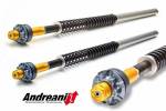 Andreani - Andreani MISANO EVO 'Drop in' Fork Cartridge Kit