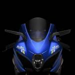Rizoma - Stealth Suzuki GSX R 1000/ R/R Anniversary/R Legend Edition (2017 - 20)