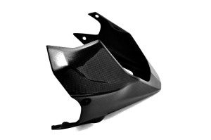 Carbonin - Carbonin Carbon Fiber Belly Pan 2010-2013 Kawasaki Z-1000