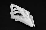 Carbonin Avio Fiber Right Side Panel 2009-2014 BMW S1000RR