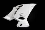 Carbonin Avio Fiber Right Side Panel 2018-2020 Kawasaki ZX-400 Ninja