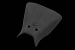 Carbonin Basic Seat Foam 2015-2019 Yamaha YZF-R3