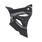 Alpha Racing Sprocket cover carbon BMW S100RR 2019- and BMW M1000 RR 2021-