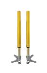 Ohlins FGR 250 USD Front Fork Racing