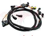 Cordona Wiring Harness Std 4 cyl DENSO/Mitsubishi
