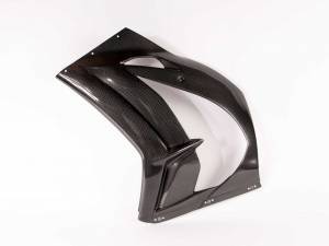 Bodywork - Carbonin - Carbon Fiber